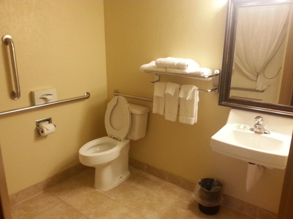 Quality Inn & Suites Saginaw Δωμάτιο φωτογραφία