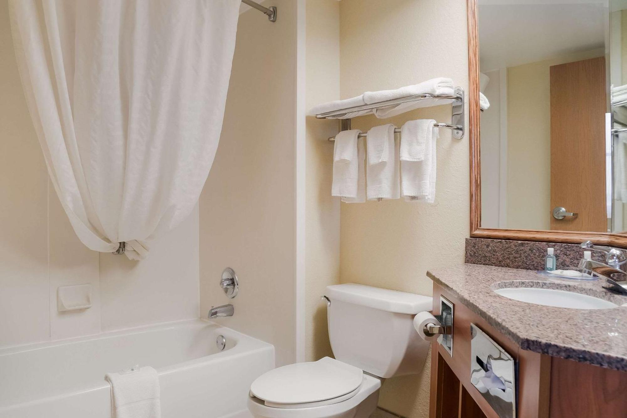 Quality Inn & Suites Saginaw Εξωτερικό φωτογραφία