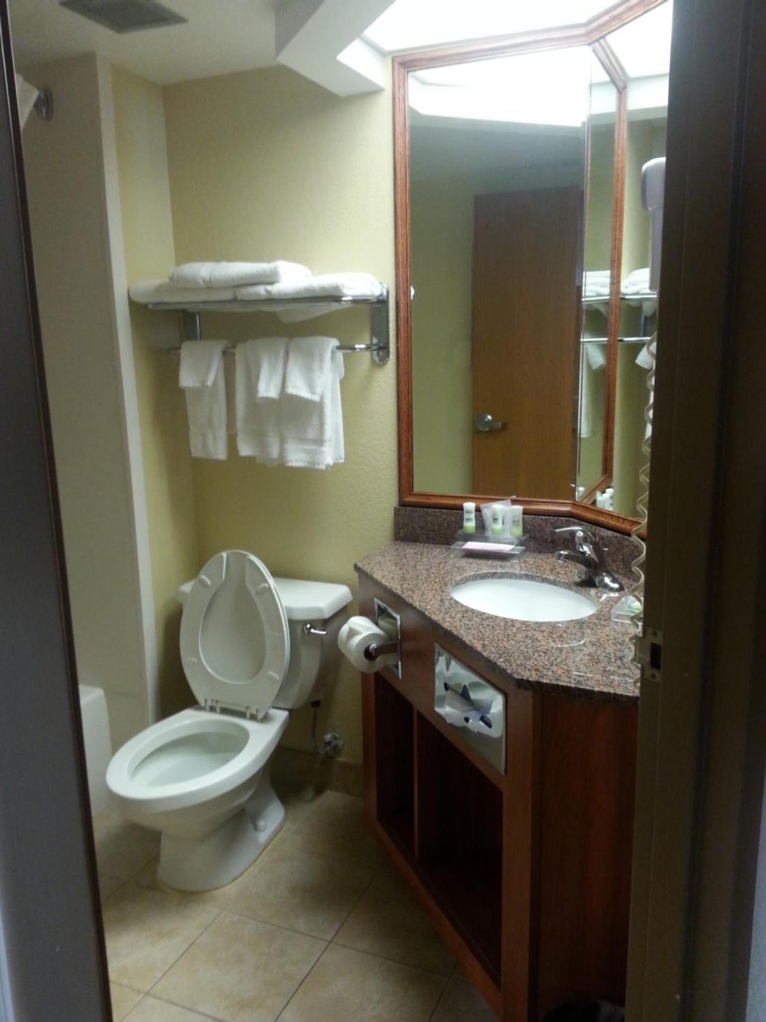 Quality Inn & Suites Saginaw Εξωτερικό φωτογραφία